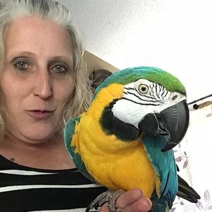 Meet your Posher, Dawn